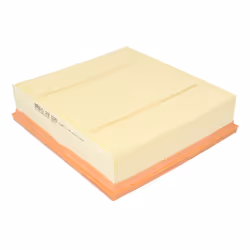 Filtre à air MANN-FILTER C 22 020