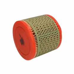 Filtre à air MANN-FILTER C 1131/1
