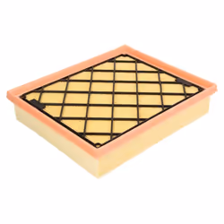 Filtre à air MANN-FILTER C 25 008/1