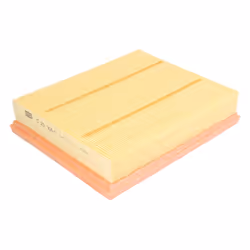 Filtre à air MANN-FILTER C 25 008/1