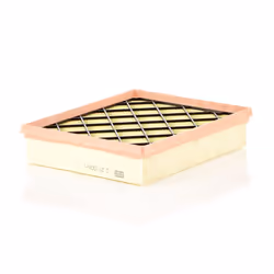 Filtre à air MANN-FILTER C 25 008/1