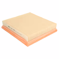 Filtre à air MANN-FILTER C 22 029