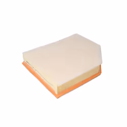 Filtre à air MANN-FILTER C 29 021