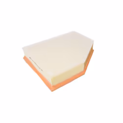 Filtre à air MANN-FILTER C 28 038