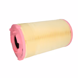 Filtre à air MANN-FILTER C 27 038/1