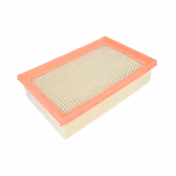 Filtre à air MANN-FILTER C 25 021