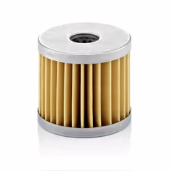 Filtre à air MANN-FILTER C 66/1