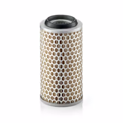 Filtre à air MANN-FILTER C 1043/1