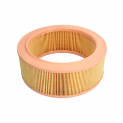 Filtre à air MANN-FILTER C 2582