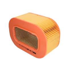 Filtre à air MANN-FILTER C 29 200