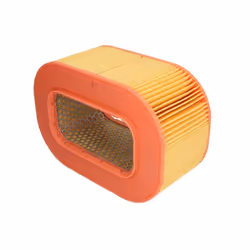 Filtre à air MANN-FILTER C 29 200