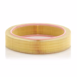 Filtre à air MANN-FILTER C 41 173