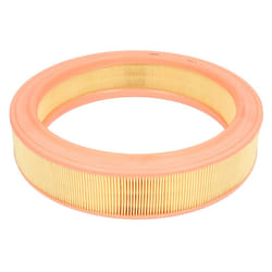 Filtre à air MANN-FILTER C 2873/1