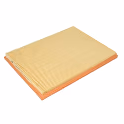 Filtre à air MANN-FILTER C 3167/1