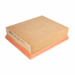 Filtre à air MANN-FILTER C 22 120