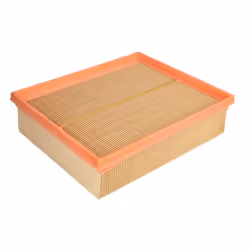 Filtre à air MANN-FILTER C 22 120