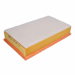 Filtre à air MANN-FILTER C 34 175/1