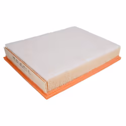 Filtre à air MANN-FILTER C 29 122/1