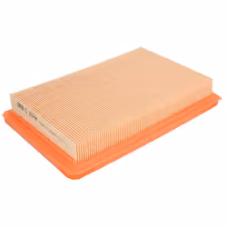 Filtre à air MANN-FILTER C 2564