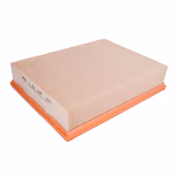 Filtre à air MANN-FILTER C 29 198