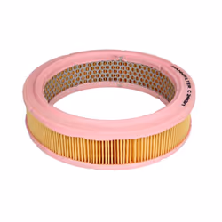 Filtre à air MANN-FILTER C 2443/1