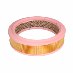 Filtre à air MANN-FILTER C 2443/1