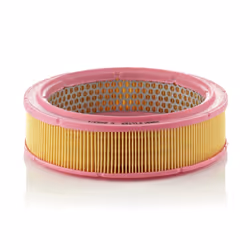 Filtre à air MANN-FILTER C 2443/1