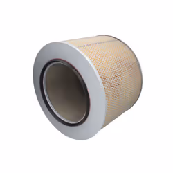 Filtre à air MANN-FILTER C 42 1729