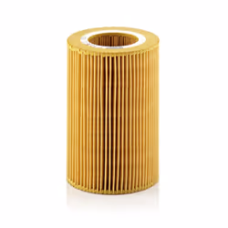 Filtre à air MANN-FILTER C 1036/1