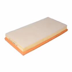 Filtre à air MANN-FILTER C 3594/1