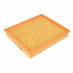 Filtre à air MANN-FILTER C 2598