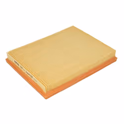 Filtre à air MANN-FILTER C 2569