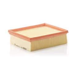 Filtre à air MANN-FILTER C 2192