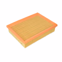 Filtre à air MANN-FILTER C 25 114/1