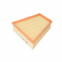 Filtre à air MANN-FILTER C 2295/2