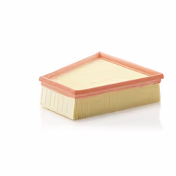 Filtre à air MANN-FILTER C 2295/2