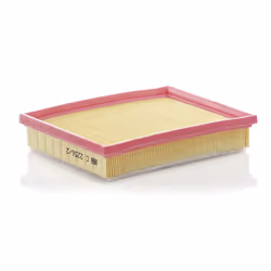 Filtre à air MANN-FILTER C 2256/2