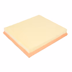 Filtre à air MANN-FILTER C 26 110/2