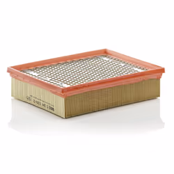 Filtre à air MANN-FILTER C 24 128/2