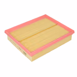 Filtre à air MANN-FILTER C 2498