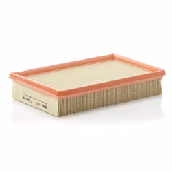 Filtre à air MANN-FILTER C 2579