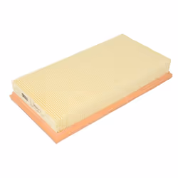 Filtre à air MANN-FILTER C 3093/1