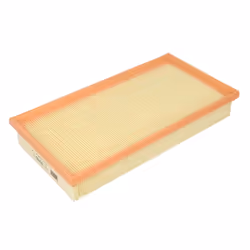Filtre à air MANN-FILTER C 3093/1