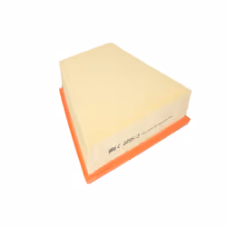 Filtre à air MANN-FILTER C 2295/3