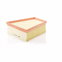 Filtre à air MANN-FILTER C 2295/3