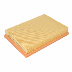 Filtre à air MANN-FILTER C 2667/1