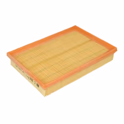 Filtre à air MANN-FILTER C 2667/1