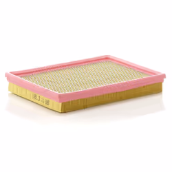 Filtre à air MANN-FILTER C 2681