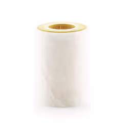 Filtre à air MANN-FILTER C 1036/2