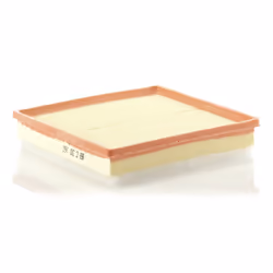 Filtre à air MANN-FILTER C 30 163